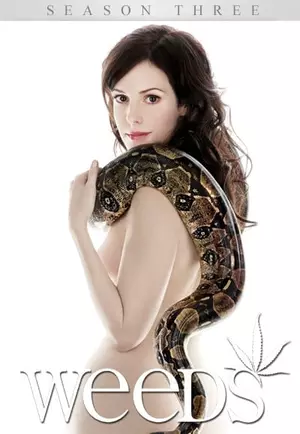 Weeds - Kleine Deals unter Nachbarn - Staffel 3