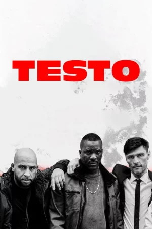 Testo - Staffel 2